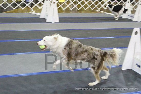 MCRD Unplugged Flyball Tournement<br />March 20th, 2010