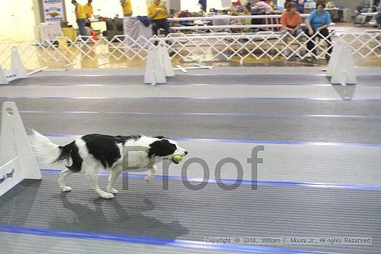 MCRD Unplugged Flyball Tournement<br />March 20th, 2010