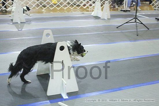 MCRD Unplugged Flyball Tournement<br />March 20th, 2010