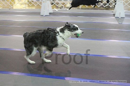 MCRD Unplugged Flyball Tournement<br />March 20th, 2010