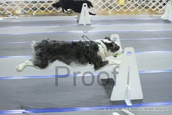 MCRD Unplugged Flyball Tournement<br />March 20th, 2010