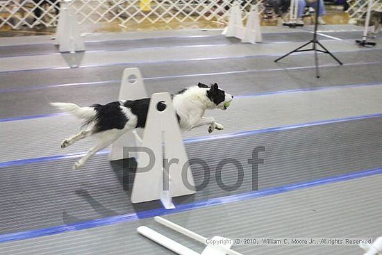 MCRD Unplugged Flyball Tournement<br />March 20th, 2010