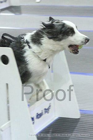 MCRD Unplugged Flyball Tournement<br />March 20th, 2010