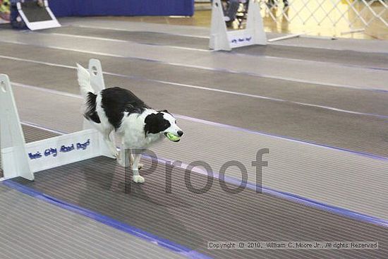 MCRD Unplugged Flyball Tournement<br />March 20th, 2010