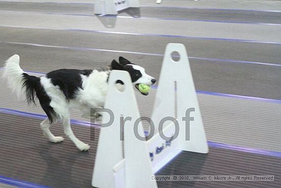 MCRD Unplugged Flyball Tournement<br />March 20th, 2010