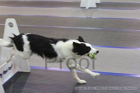 MCRD Unplugged Flyball Tournement<br />March 20th, 2010