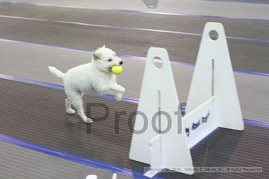 MCRD Unplugged Flyball Tournement<br />March 20th, 2010