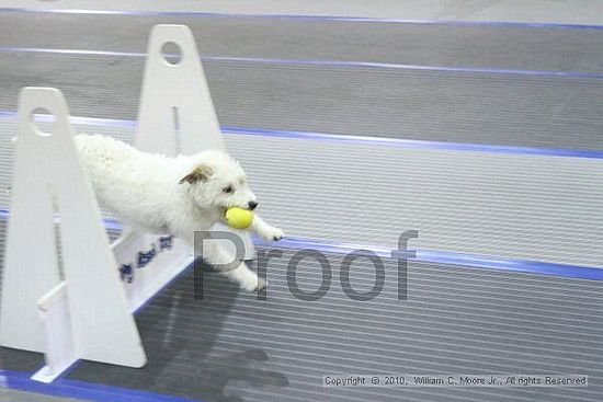 MCRD Unplugged Flyball Tournement<br />March 20th, 2010