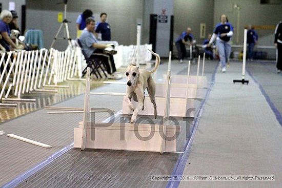 MCRD Unplugged Flyball Tournement<br />March 20th, 2010