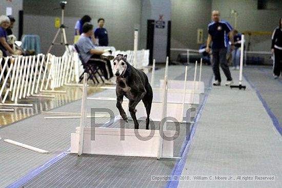 MCRD Unplugged Flyball Tournement<br />March 20th, 2010