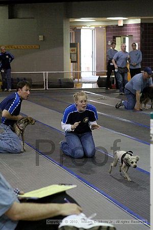 MCRD Unplugged Flyball Tournement<br />March 20th, 2010