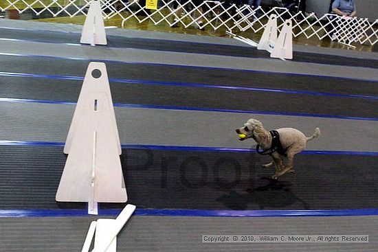 MCRD Unplugged Flyball Tournement<br />March 20th, 2010