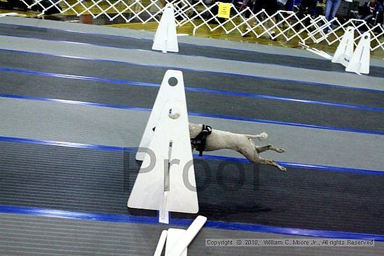 MCRD Unplugged Flyball Tournement<br />March 20th, 2010