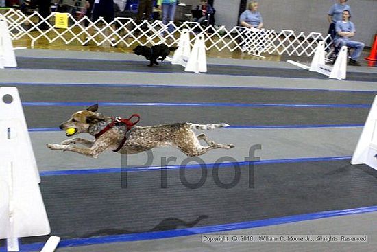 MCRD Unplugged Flyball Tournement<br />March 20th, 2010