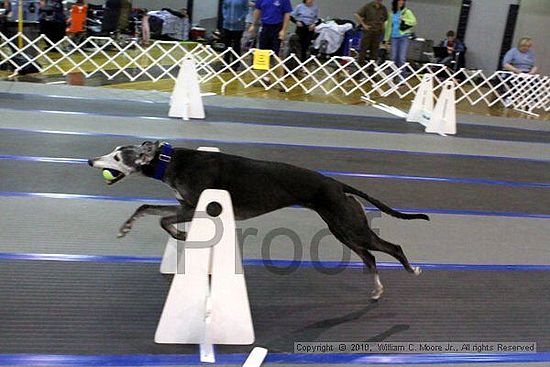 MCRD Unplugged Flyball Tournement<br />March 20th, 2010