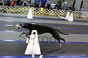 img_2492_thm.jpg
