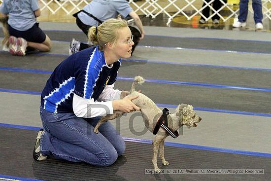 MCRD Unplugged Flyball Tournement<br />March 20th, 2010