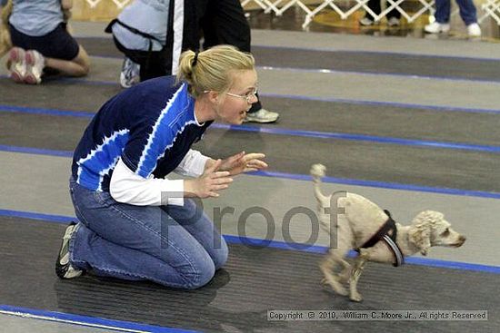 MCRD Unplugged Flyball Tournement<br />March 20th, 2010