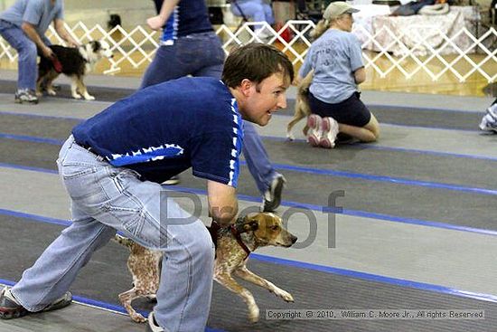 MCRD Unplugged Flyball Tournement<br />March 20th, 2010