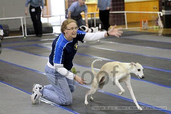 MCRD Unplugged Flyball Tournement<br />March 20th, 2010