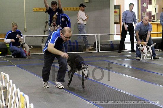 MCRD Unplugged Flyball Tournement<br />March 20th, 2010