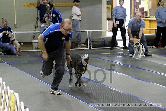 MCRD Unplugged Flyball Tournement<br />March 20th, 2010