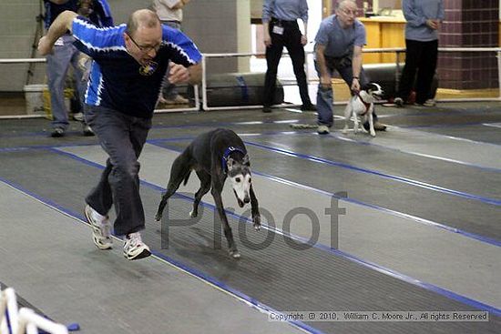 MCRD Unplugged Flyball Tournement<br />March 20th, 2010