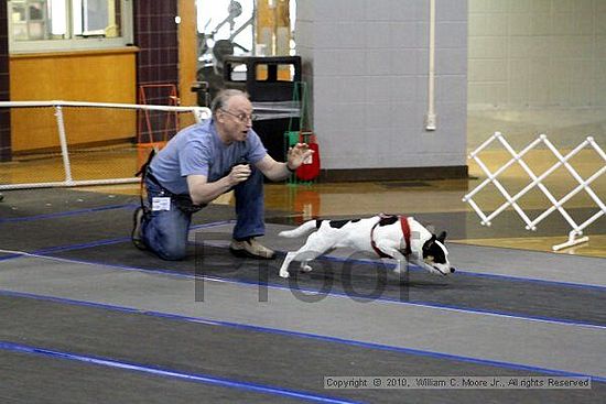 MCRD Unplugged Flyball Tournement<br />March 20th, 2010