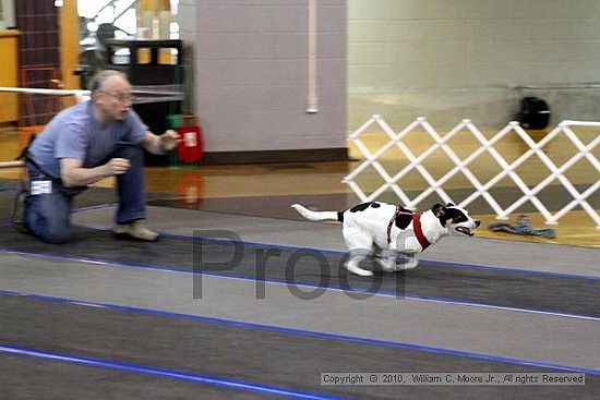 MCRD Unplugged Flyball Tournement<br />March 20th, 2010