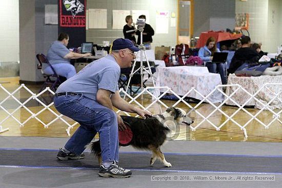 MCRD Unplugged Flyball Tournement<br />March 20th, 2010