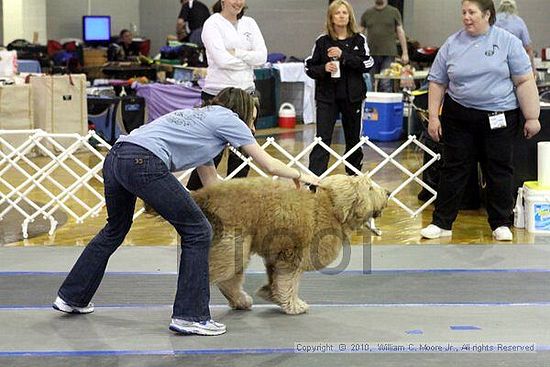 MCRD Unplugged Flyball Tournement<br />March 20th, 2010