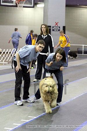 MCRD Unplugged Flyball Tournement<br />March 20th, 2010