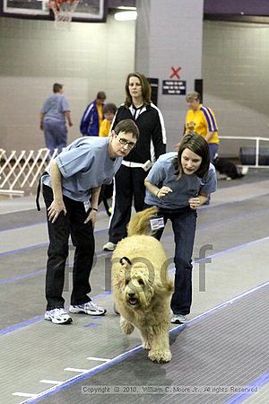 MCRD Unplugged Flyball Tournement<br />March 20th, 2010