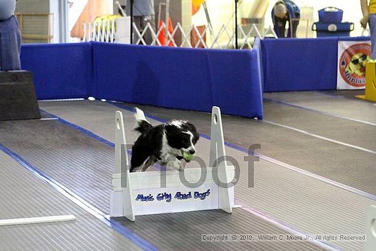 MCRD Unplugged Flyball Tournement<br />March 20th, 2010