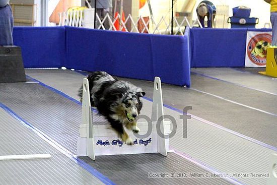 MCRD Unplugged Flyball Tournement<br />March 20th, 2010