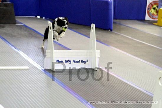 MCRD Unplugged Flyball Tournement<br />March 20th, 2010