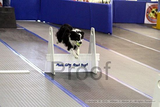 MCRD Unplugged Flyball Tournement<br />March 20th, 2010