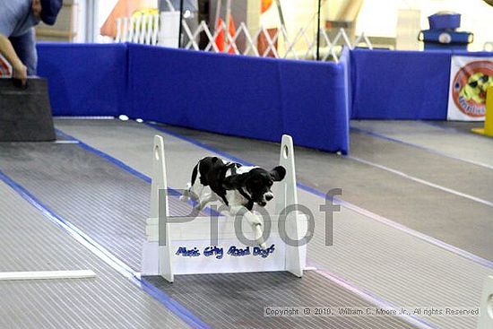 MCRD Unplugged Flyball Tournement<br />March 20th, 2010