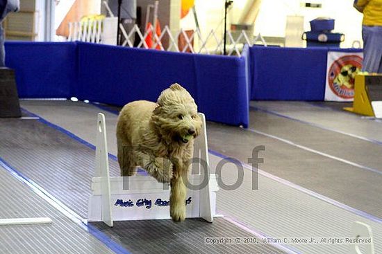 MCRD Unplugged Flyball Tournement<br />March 20th, 2010