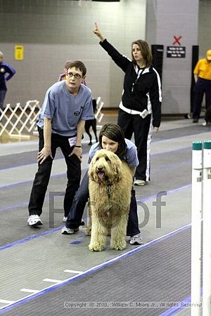 MCRD Unplugged Flyball Tournement<br />March 20th, 2010