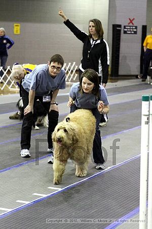 MCRD Unplugged Flyball Tournement<br />March 20th, 2010