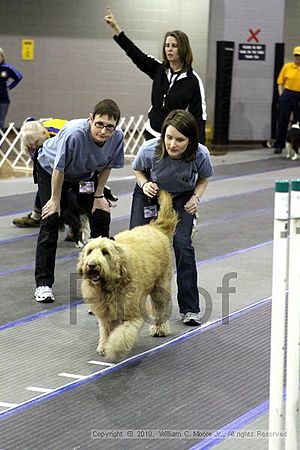 MCRD Unplugged Flyball Tournement<br />March 20th, 2010