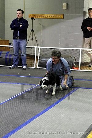 MCRD Unplugged Flyball Tournement<br />March 20th, 2010