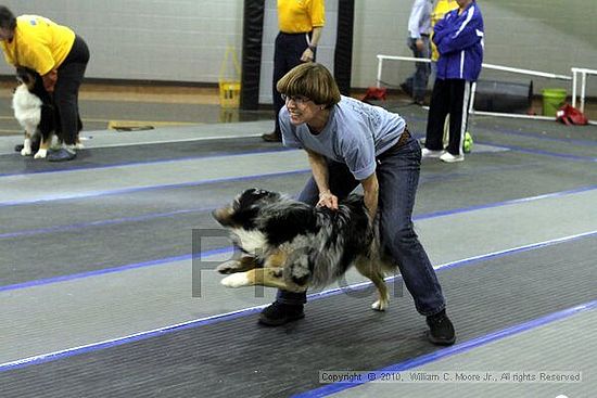 MCRD Unplugged Flyball Tournement<br />March 20th, 2010