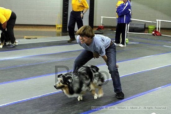 MCRD Unplugged Flyball Tournement<br />March 20th, 2010