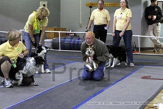 MCRD Unplugged Flyball Tournement<br />March 20th, 2010