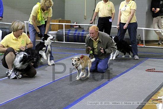 MCRD Unplugged Flyball Tournement<br />March 20th, 2010