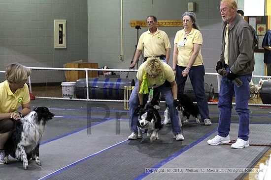 MCRD Unplugged Flyball Tournement<br />March 20th, 2010