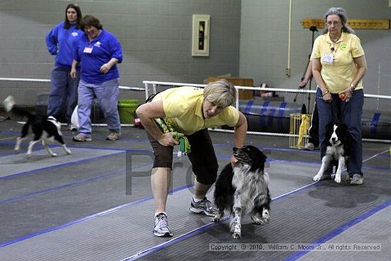 MCRD Unplugged Flyball Tournement<br />March 20th, 2010