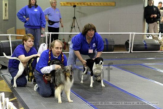 MCRD Unplugged Flyball Tournement<br />March 20th, 2010